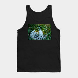 Three Great White Egret Chicks on the Nest. Cute baby birds. Tank Top